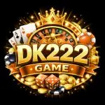 DK222 Game